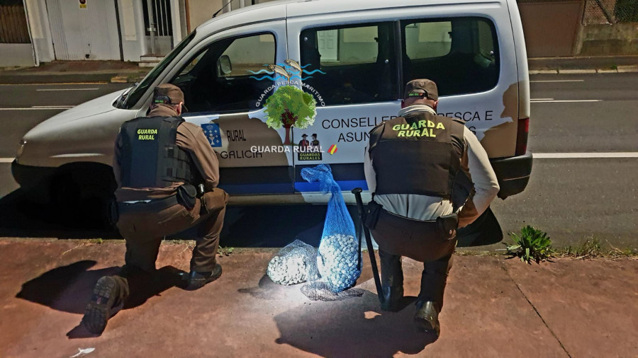 Decomisados casi 18 kilos y medio de marisco a seis furtivos en Xión, en Boiro