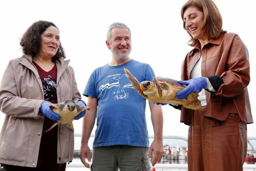 Las tortugas Ibai, Luceira y Lula vuelven a casa