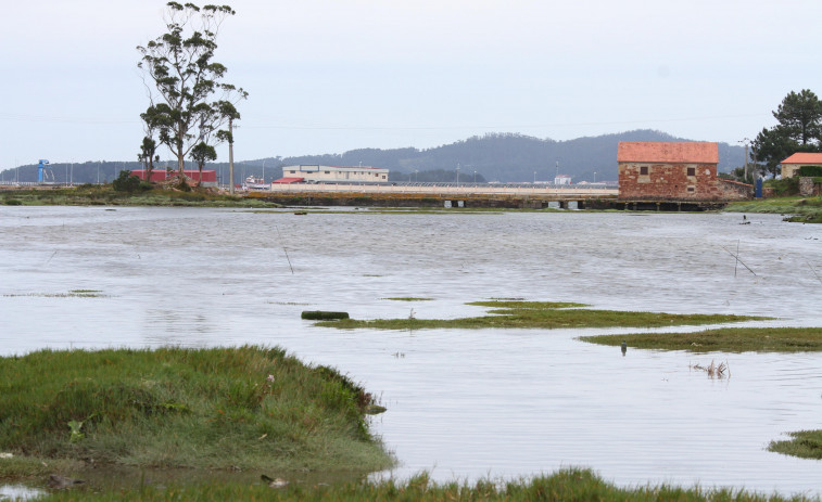 Cambados propone a Costas una nueva senda de pasarela aérea entre el Muíño da Seca y el puerto