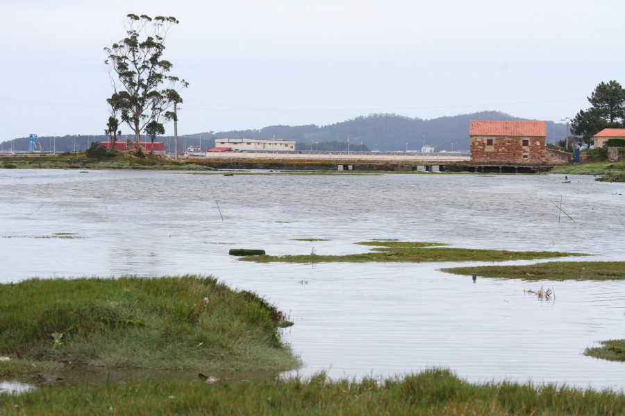 Cambados propone a Costas una nueva senda de pasarela aérea entre el Muíño da Seca y el puerto