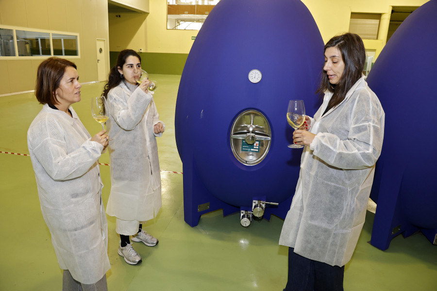 Una bodega de Ribadumia lanza un nuevo vino elaborado en huevos de hormigón