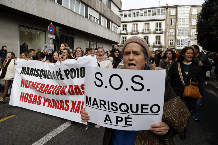 El Auditorio de Vilagarcía acoge el jueves 15 un macro acto “Na defensa do noso mar”