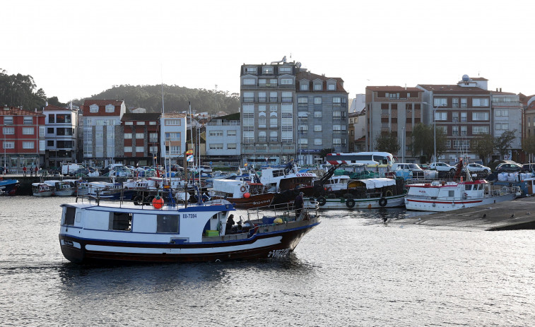 Malestar en Arousa por los topes del abadejo: 