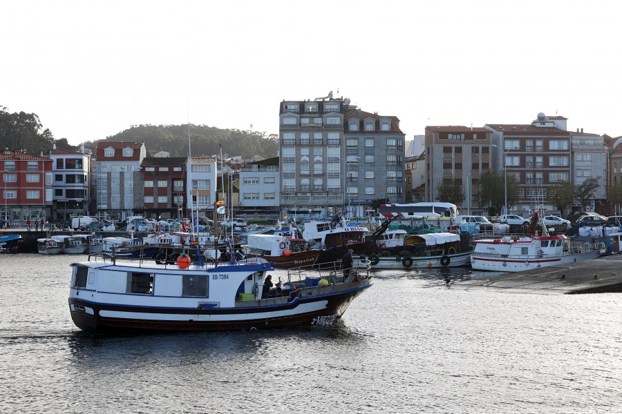 Malestar en Arousa por los topes del abadejo: "Ninguén sae ao mar por cinco quilos ao día"