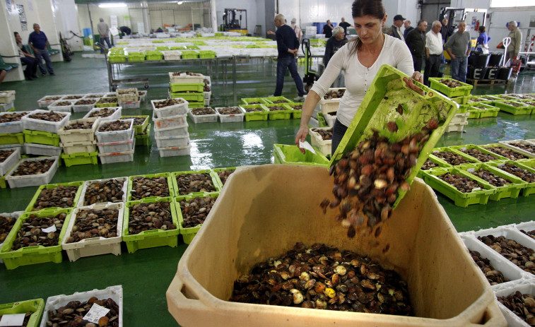 Reformar la lonja de Cambados sube a 1,3 millones tras incluir la sustitución de la cubierta