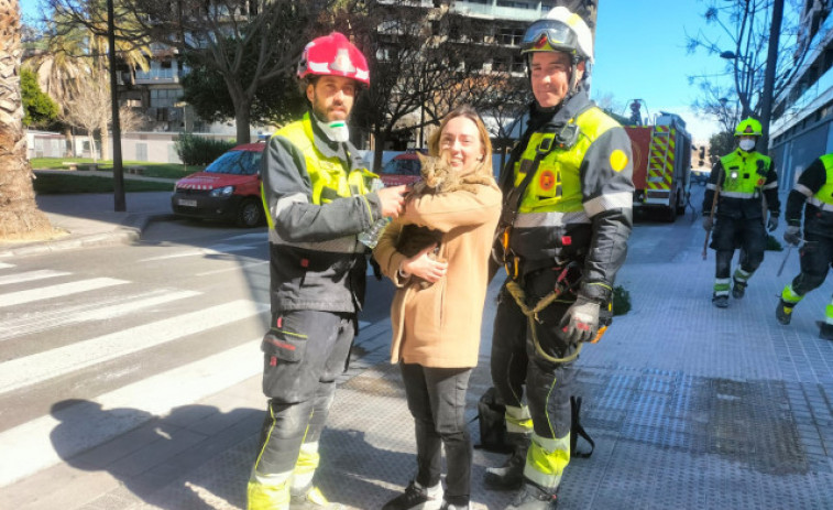 Los Bomberos rescatan con vida a un gato ocho días después del incendio del Campanar