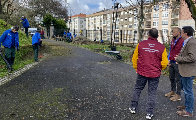 Acondicionamiento de zonas ajardinadas y saneamiento de árboles enfermas o con riesgo de caída en A Cachada