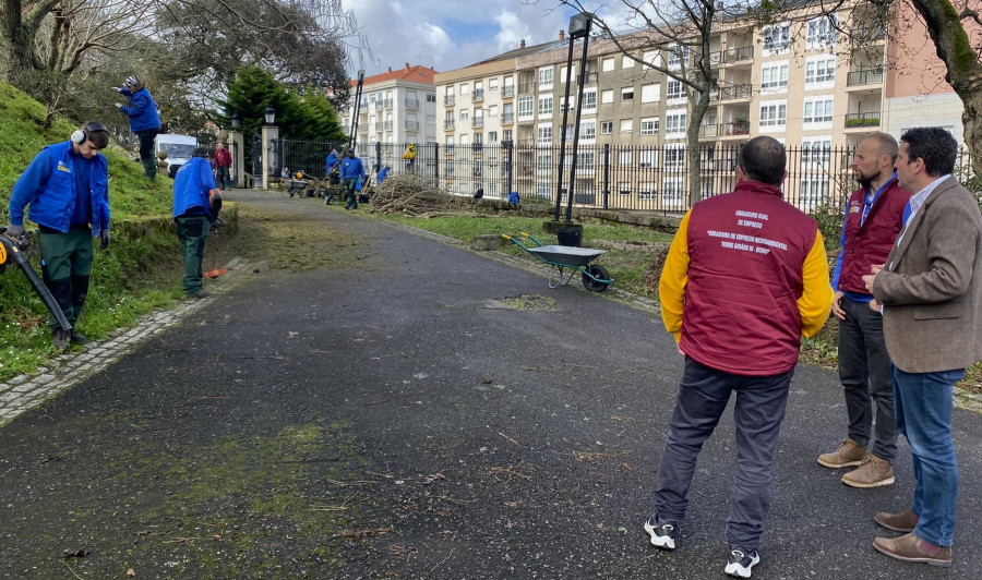 Acondicionamiento de zonas ajardinadas y saneamiento de árboles enfermas o con riesgo de caída en A Cachada