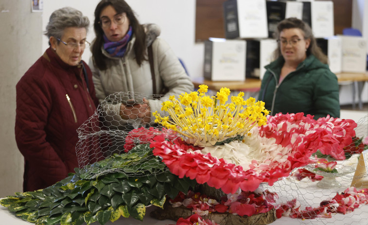 A Casa das Camelias de Boiro gana en la Mostra de Cambados, que continúa hoy