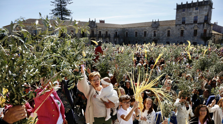 Arousa vive con fervor el Domingo de Ramos con las bendiciones y la Borriquita