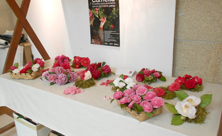 El Círculo Cultural Deportivo de Sanxenxo recupera la X Mostra da Camelia por Semana Santa