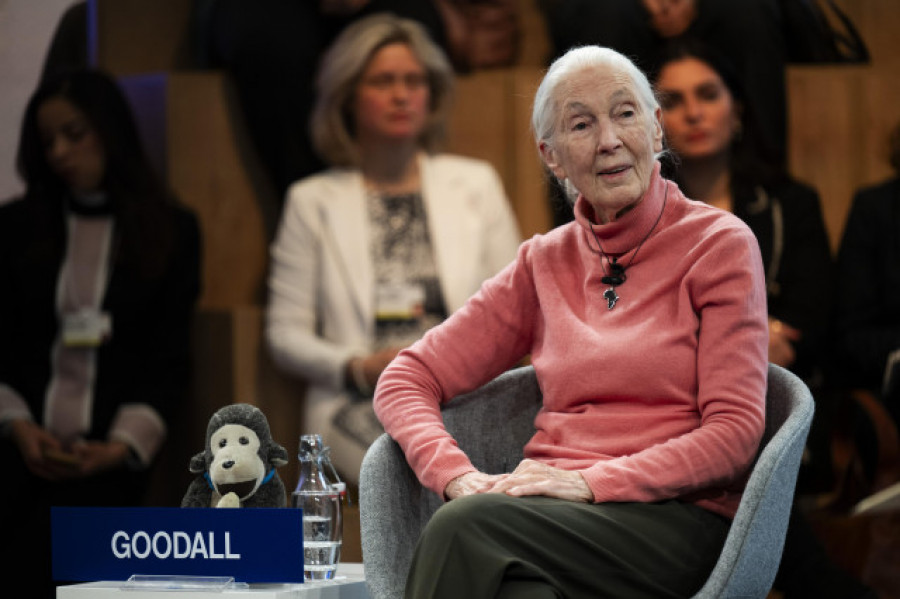 Mantener viva la esperanza para el planeta, el deseo de Jane Goodall en su 90 cumpleaños