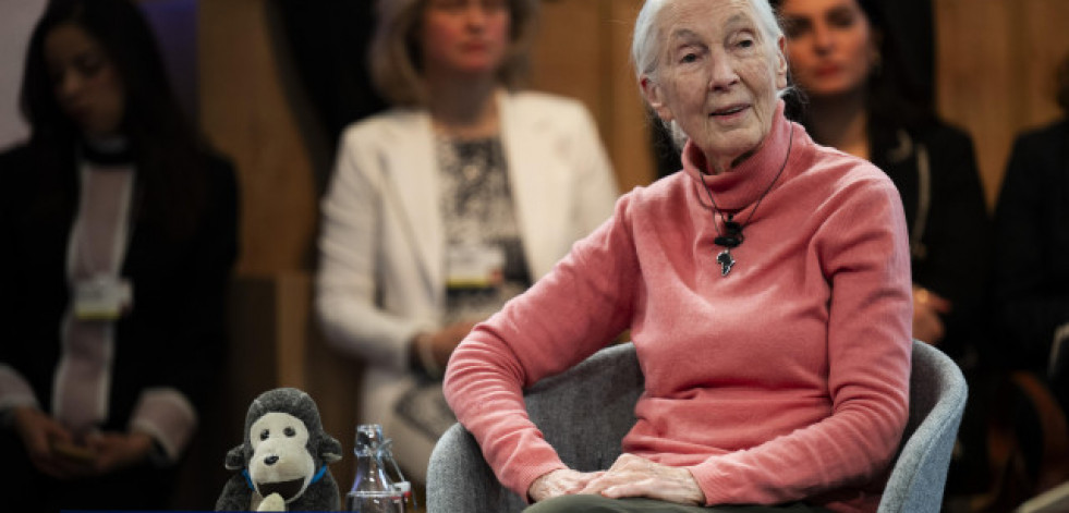 Mantener viva la esperanza para el planeta, el deseo de Jane Goodall en su 90 cumpleaños