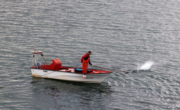 Desastre en la apertura del marisqueo a flote en Cambados: “Os bancos non están para explotar”