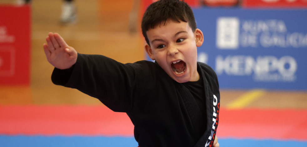 Búscate en el Campeonato de Kempo de Vilanova de Arousa