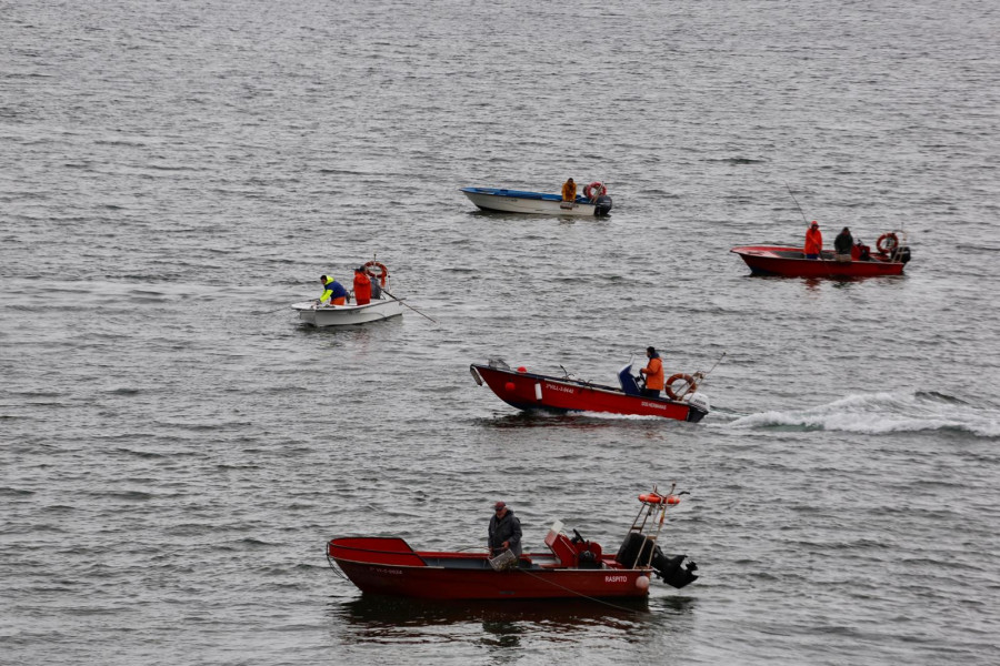 Pesimismo en el regreso del marisqueo a flote en Vilanova: Poca almeja y peores perspectivas