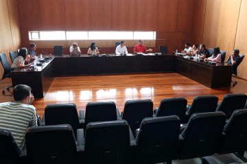 Pleno A Illa