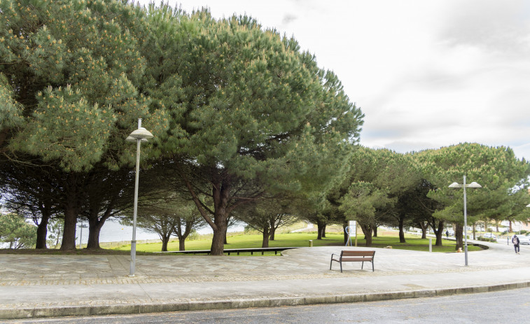 Sanxenxo talará los pinos del parque de Baltar y saneará los del paseo ante el riesgo de caídas