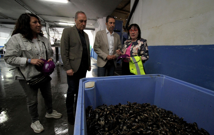 Villares muestra su apoyo a los depuradores para pedir la rebaja del IVA a los productos del mar