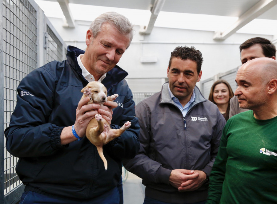 Alfonso Rueda anima a las adopciones de mascotas: En Meis llevan 5.000 en 11 años