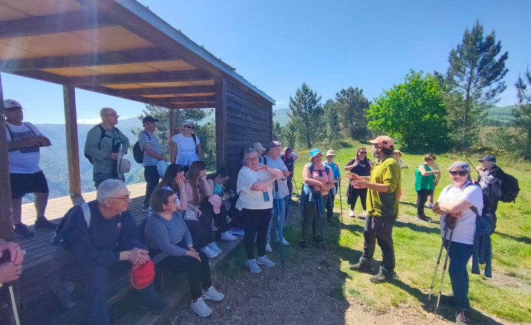 Valga, Cuntis, Caldas y O Grove participan esta semana en las actividades de +Convivencia