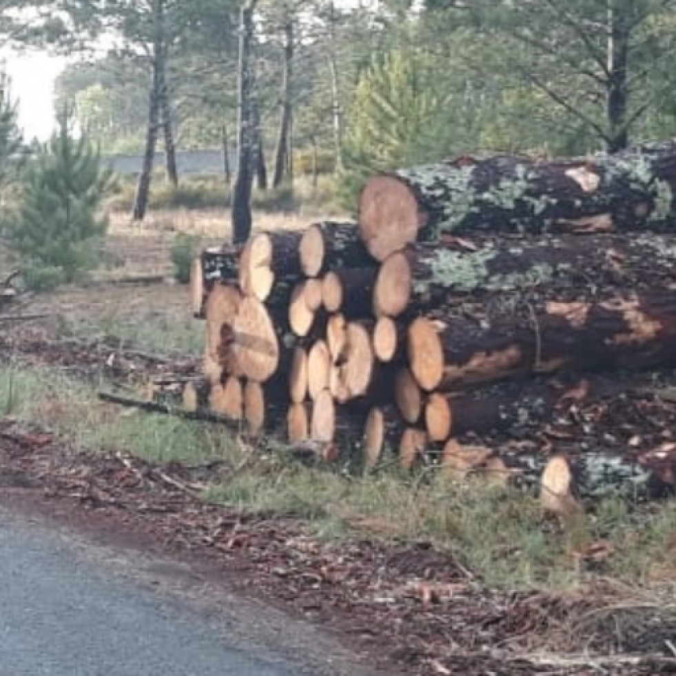 Comuneros de Olveira se plantean una querella a Medio Ambiente por la ocultación de datos de talas de madera