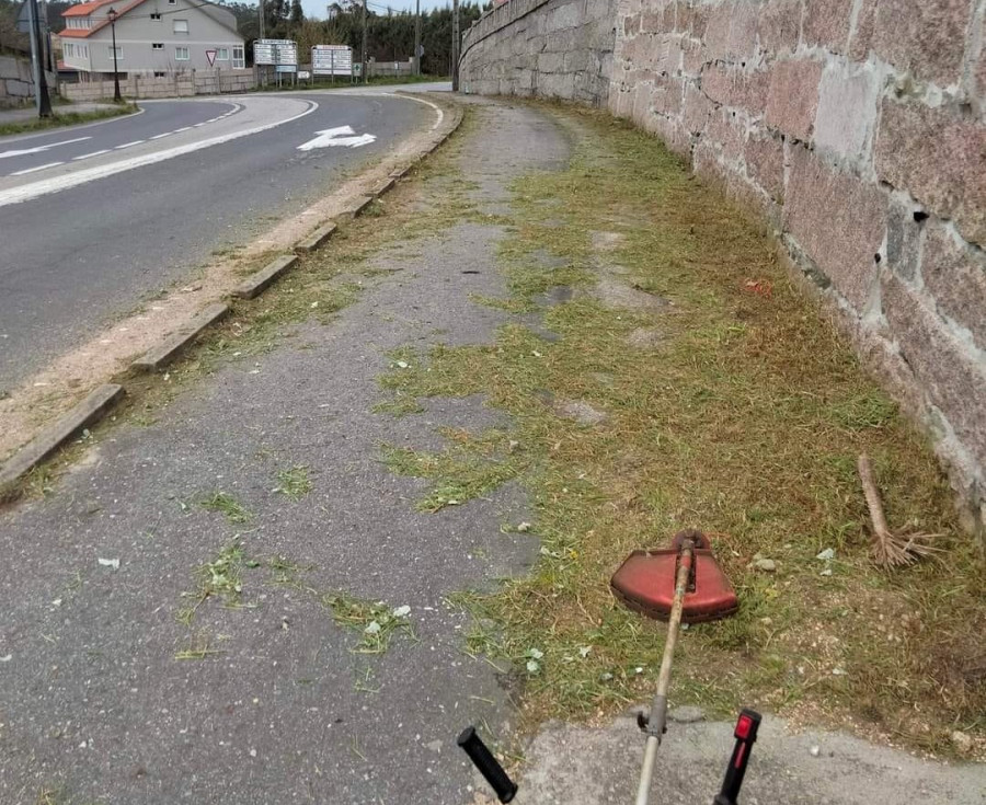 Un desbrozador justiciero acaba con las malas hierbas en O Grove