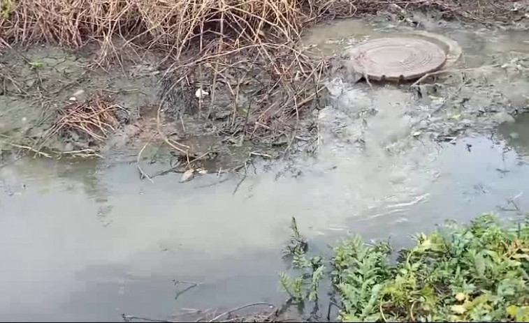 Denuncian un vertido de aguas fecales procedente de la red municipal en un regato que desemboca en el río de Artes, en Ribeira