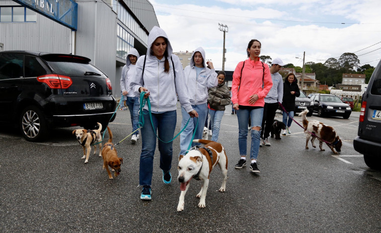 El Refugio de Cambados da el pistoletazo de salida a su 25 aniversario con un paseo solidario