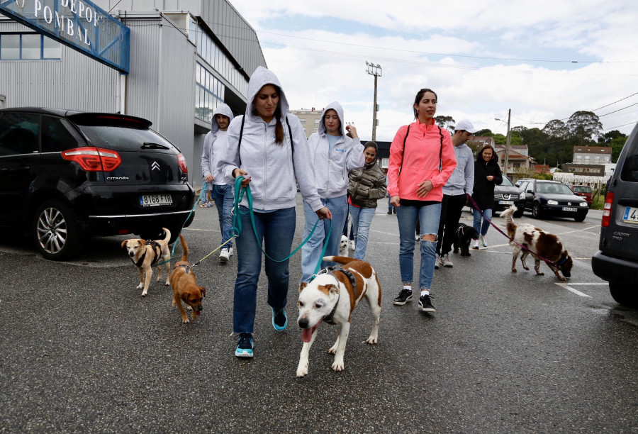 El Refugio de Cambados da el pistoletazo de salida a su 25 aniversario con un paseo solidario