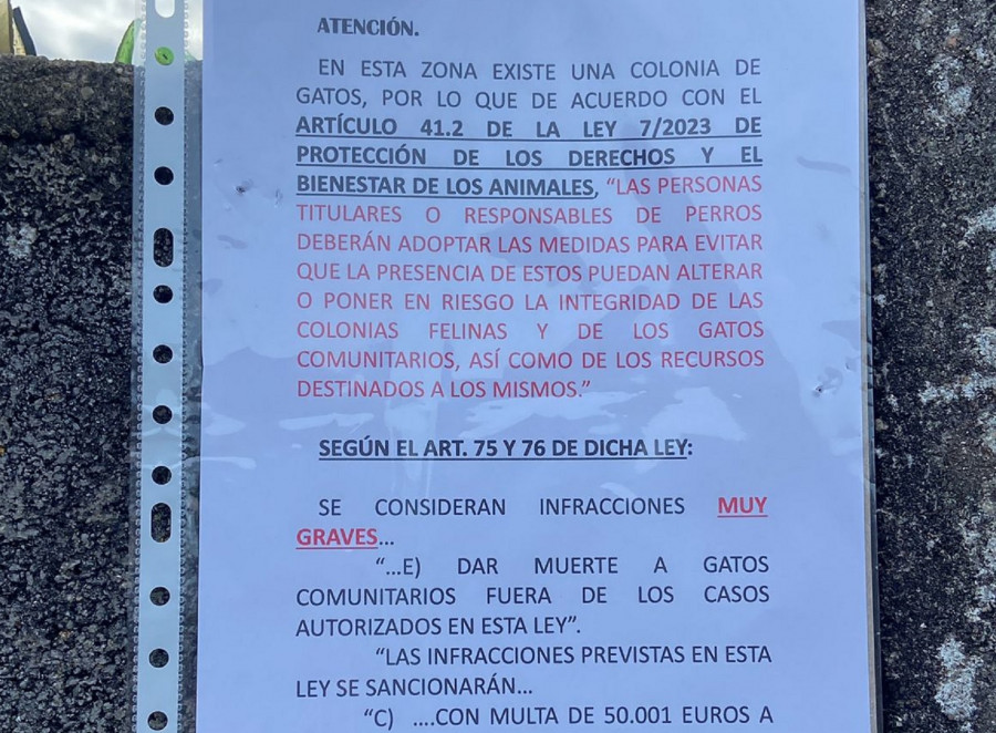 El Refugio de Cambados denuncia ataques de perros con resultado de muerte en una de sus colonias de gatos