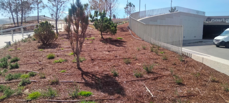 El PSOE de Sanxenxo denuncia una “total falla de mantemento” en la Batea en Tierra de Nauta
