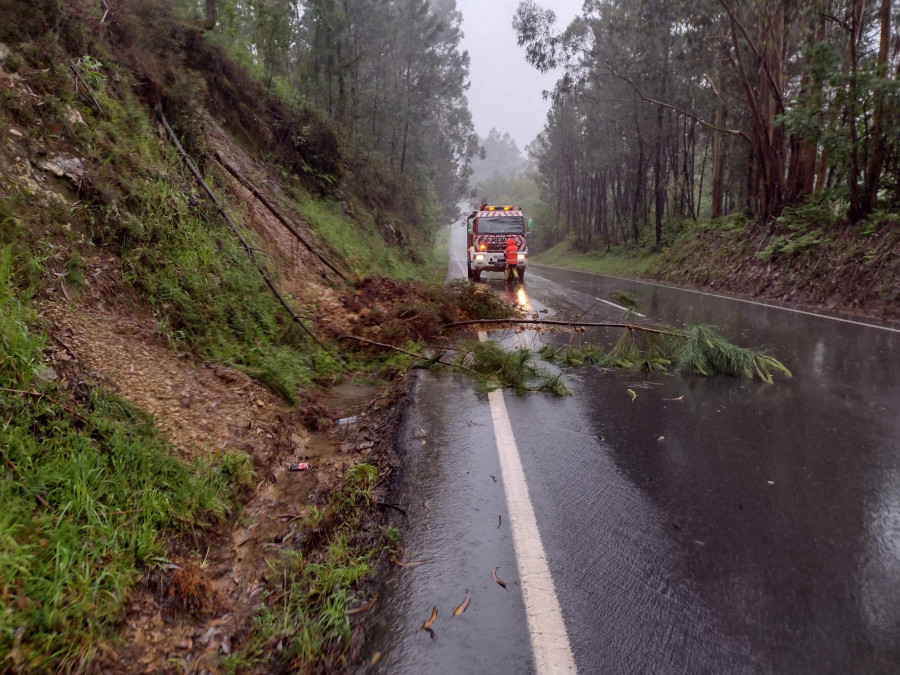 El temporal derriba árboles y daña mobiliario urbano a su paso por O Barbanza