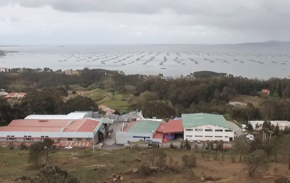 Anulan las ampliaciones de capital de Atunlo O Grove y Cambados y los inversores pierden el dinero