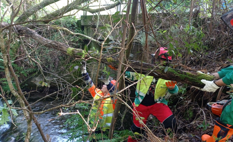 Augas de Galicia inició los trabajos de conservación y mantenimiento del río Te a su paso por Rianxo