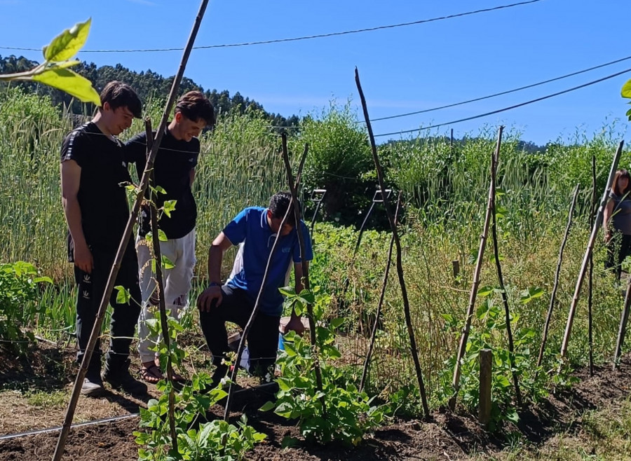 El Plan Integrado de O Salnés clausura otro curso de agricultura ecológica biointensiva