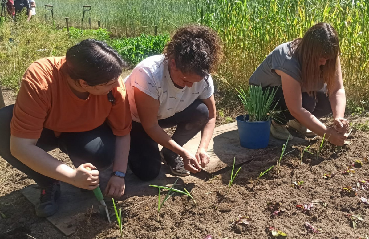 Curso cultivo biointensivo plan emprego mancomunidade do salnés