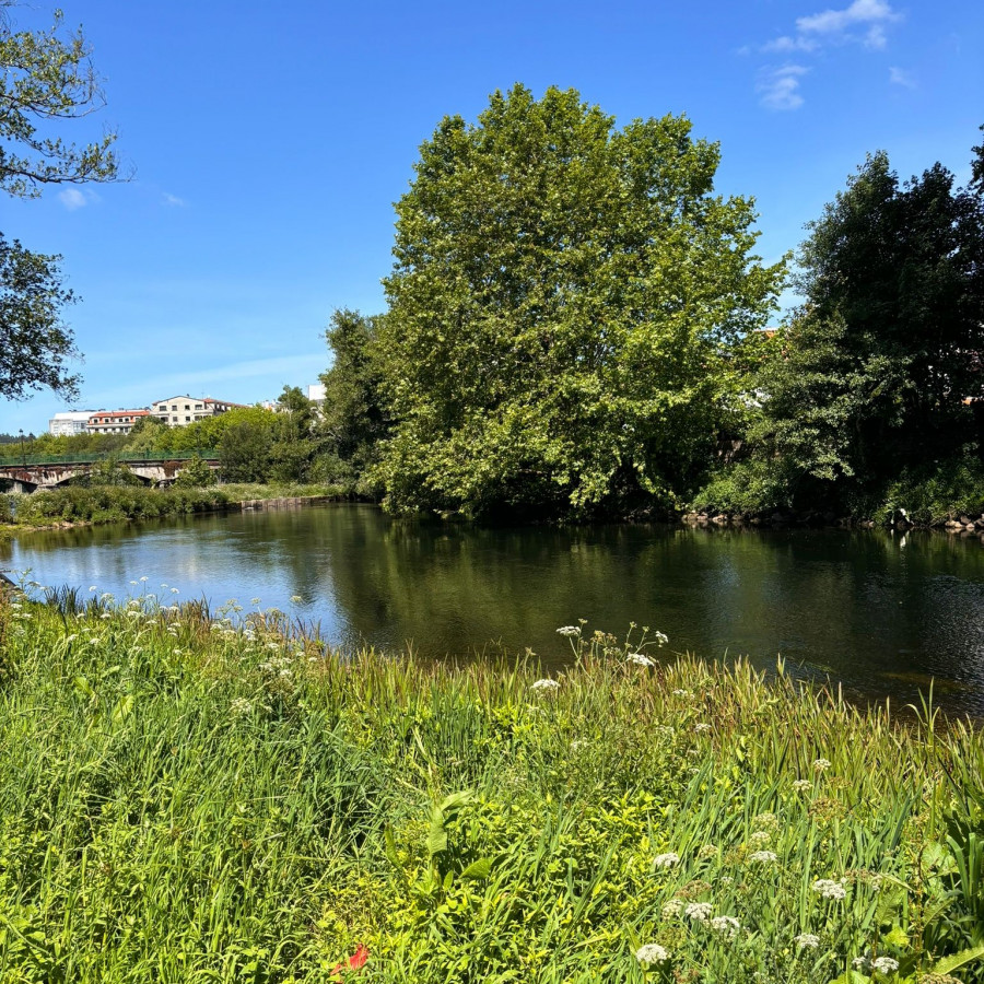 Caldas proyecta recuperar la playa fluvial del Umia y convertir la zona en un lugar de ocio y deportivo
