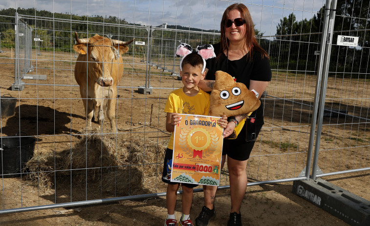 Las deposiciones de una vaca en Cea valen 1.500 euros en una primera edición de la fiesta con éxito de participación