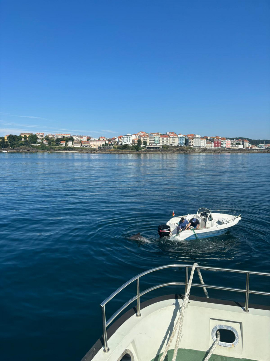 Reportaje | El día de pesca que empezó con el rescate de un delfín