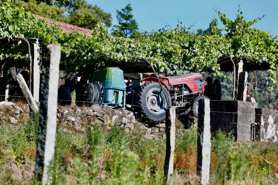 Fallece un hombre al quedar atrapado entre la vigueta de una parra y su tractor en Ribadumia