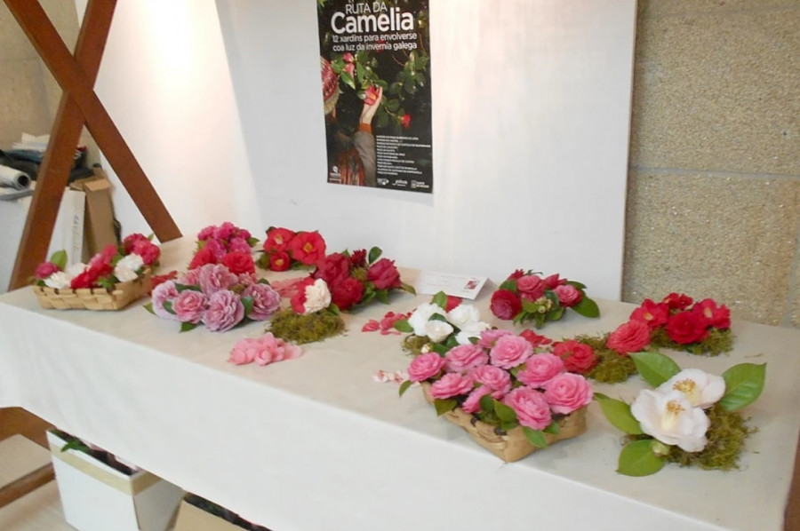 Sanxenxo acoge la muestra “Andar por casa” de la artista compostelana Galia Blanco