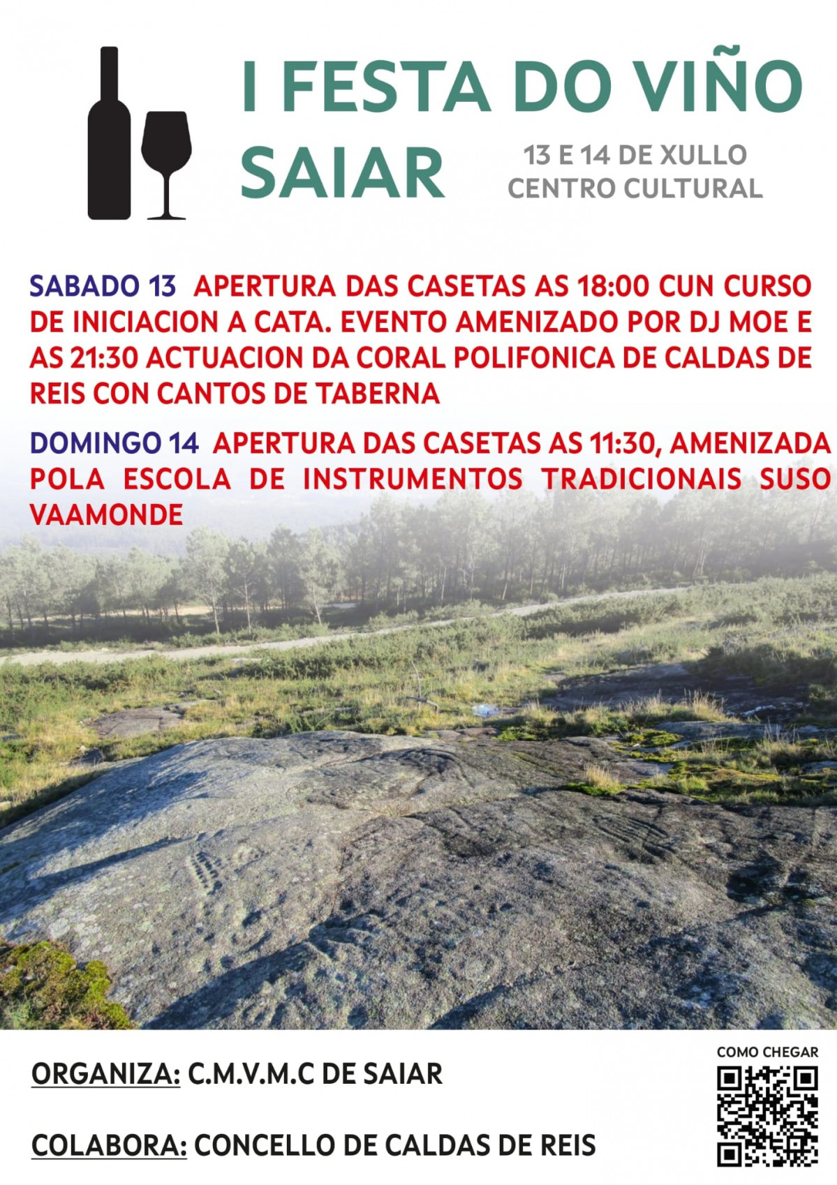 Cartel Festa do Viu00f1o de Saiar