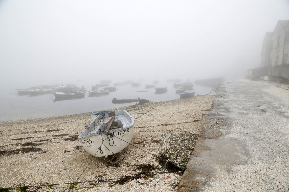 Niebla carril