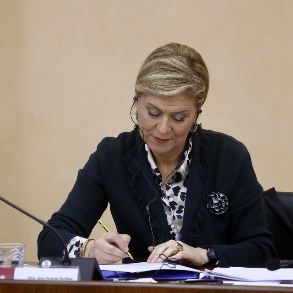 El PP de Vilagarcía denuncia el mal estado de fuentes, lavaderos y zonas verdes