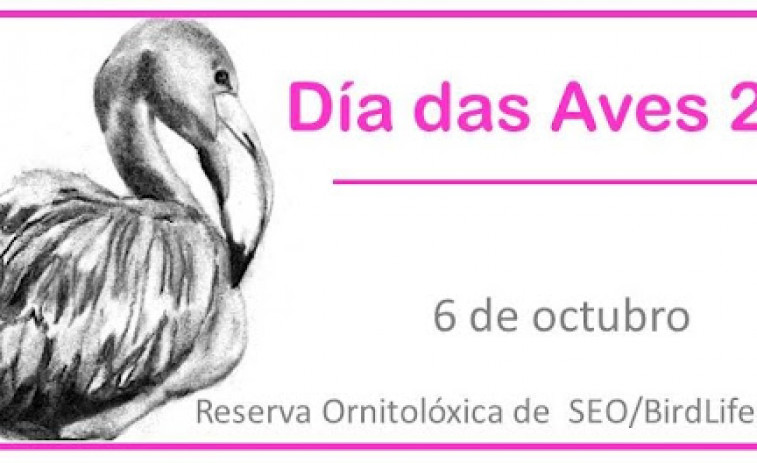 O Grove celebra el Día das Aves con una charla y una ruta guiada por la reserva ornitológica de la villa