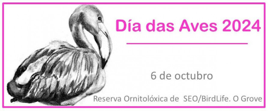 O Grove celebra el Día das Aves con una charla y una ruta guiada por la reserva ornitológica de la villa