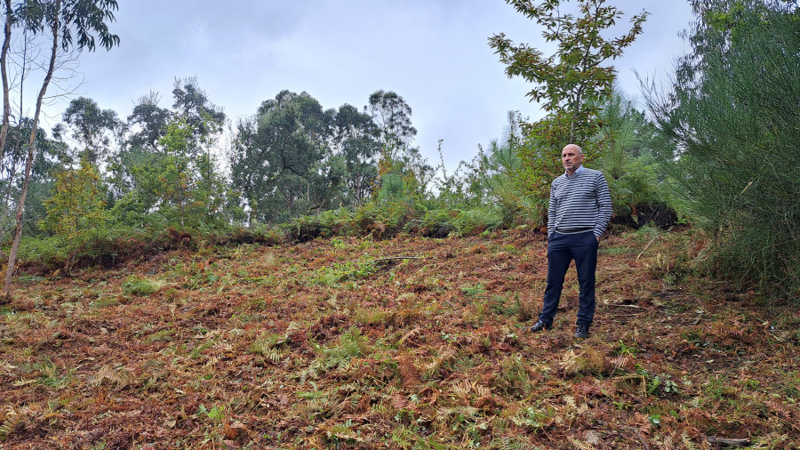A Pobra investigará con un georradar el Castro da Croa, que ya es patrimonio municipal
