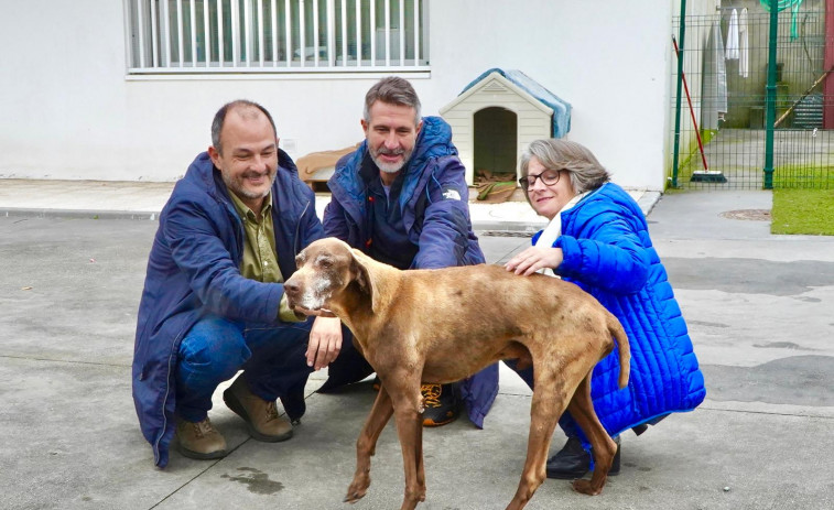 Varela hace un llamamiento a adoptar perros  y gatos de Pinar do Rei de forma responsable