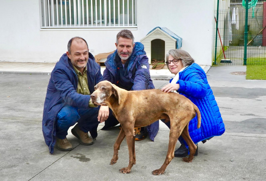 Varela hace un llamamiento a adoptar perros  y gatos de Pinar do Rei de forma responsable